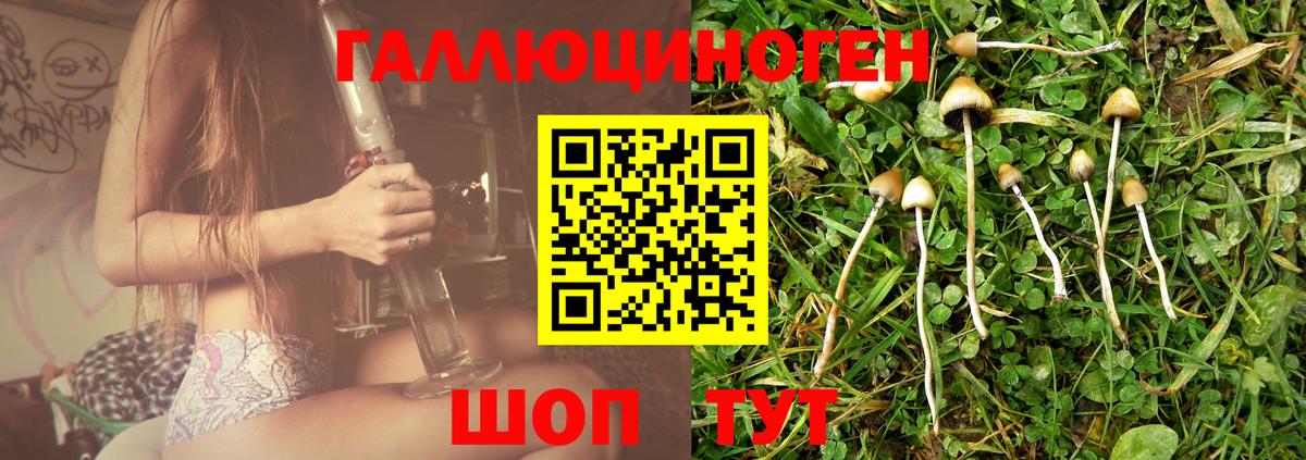 Чебоксары  Галлюциногенные грибы мицелий  Галлюциногенные грибы мицелий  Вход с VPN 
